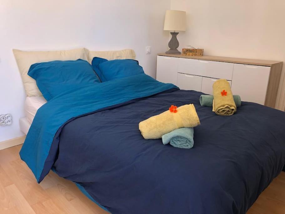La Terrasse Des Capucines Apartman Sète Kültér fotó